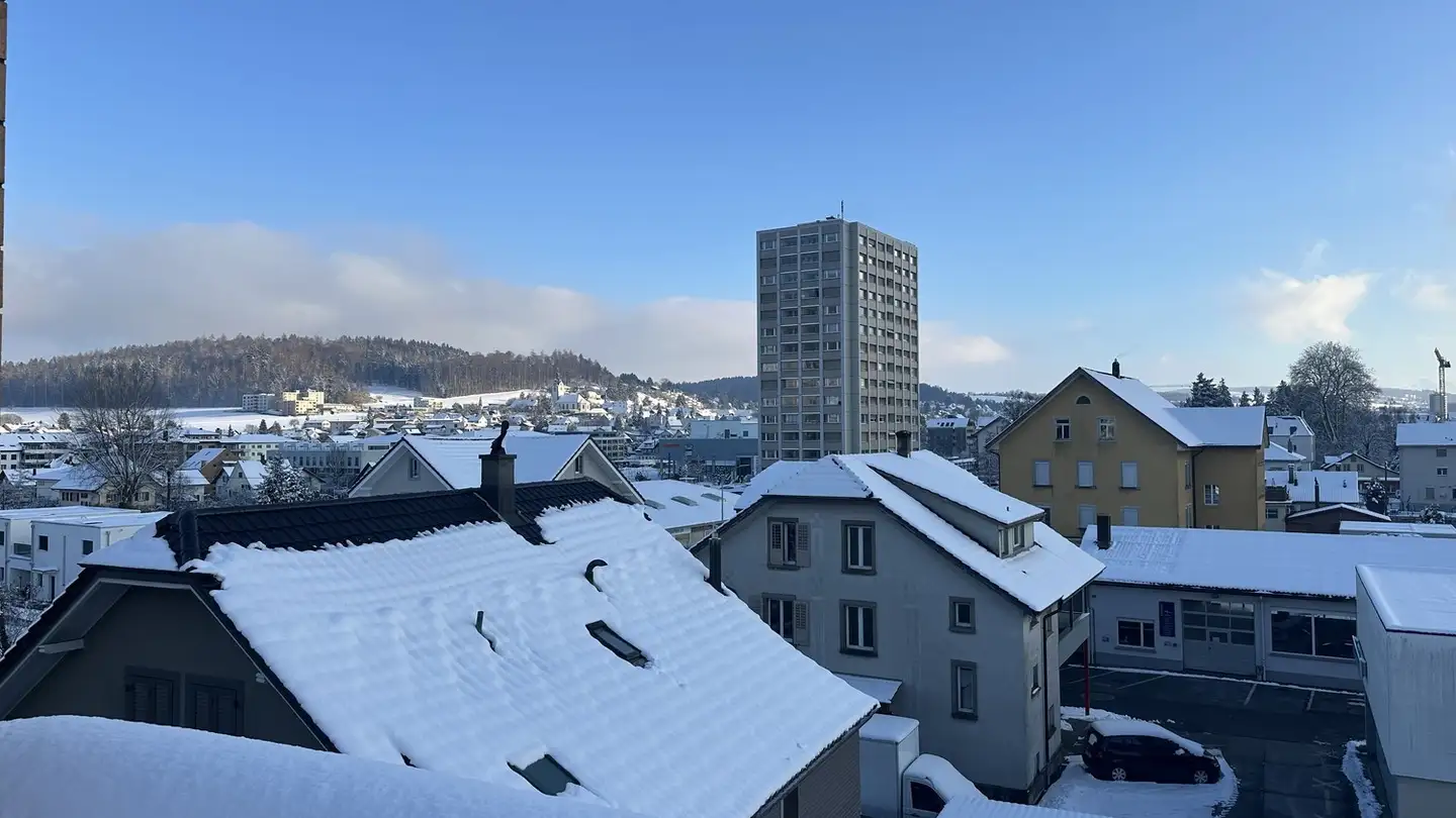 Duplex in affitto - Aarauer Strasse 19, 5734 Reinach AG