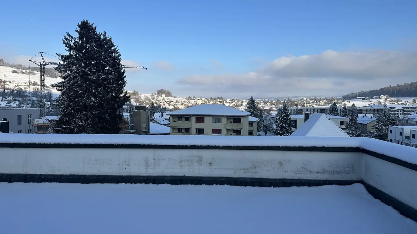 Duplex in affitto - Aarauer Strasse 19, 5734 Reinach AG - Foto 2