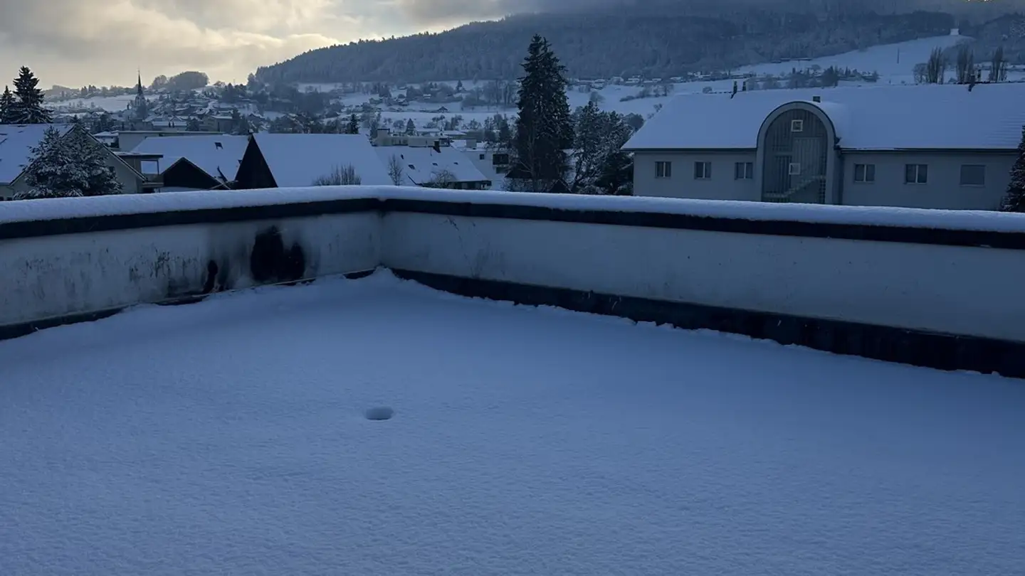 Duplex in affitto - Aarauer Strasse 19, 5734 Reinach AG - Foto 3