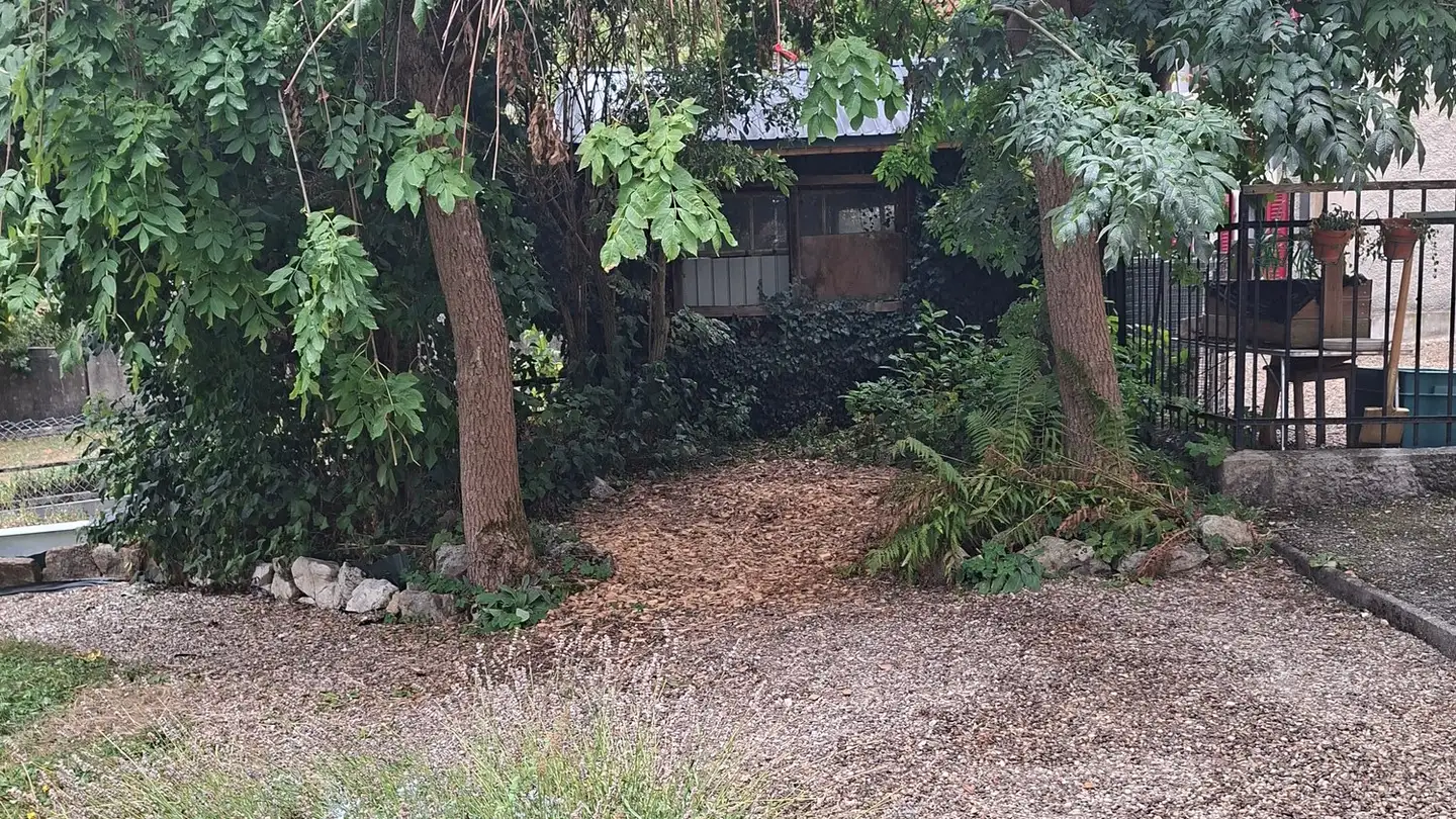 Maison individuelle à louer - Rue Du Doubs 31, 2300 La Chaux-de-Fonds