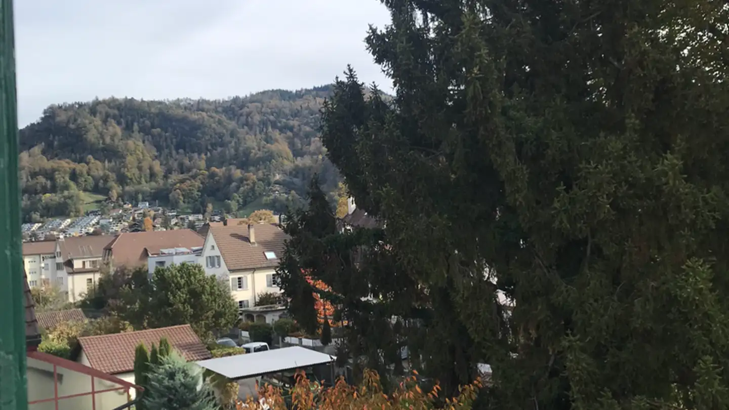 Apartment for rent - 3600 Thun - Photo 3