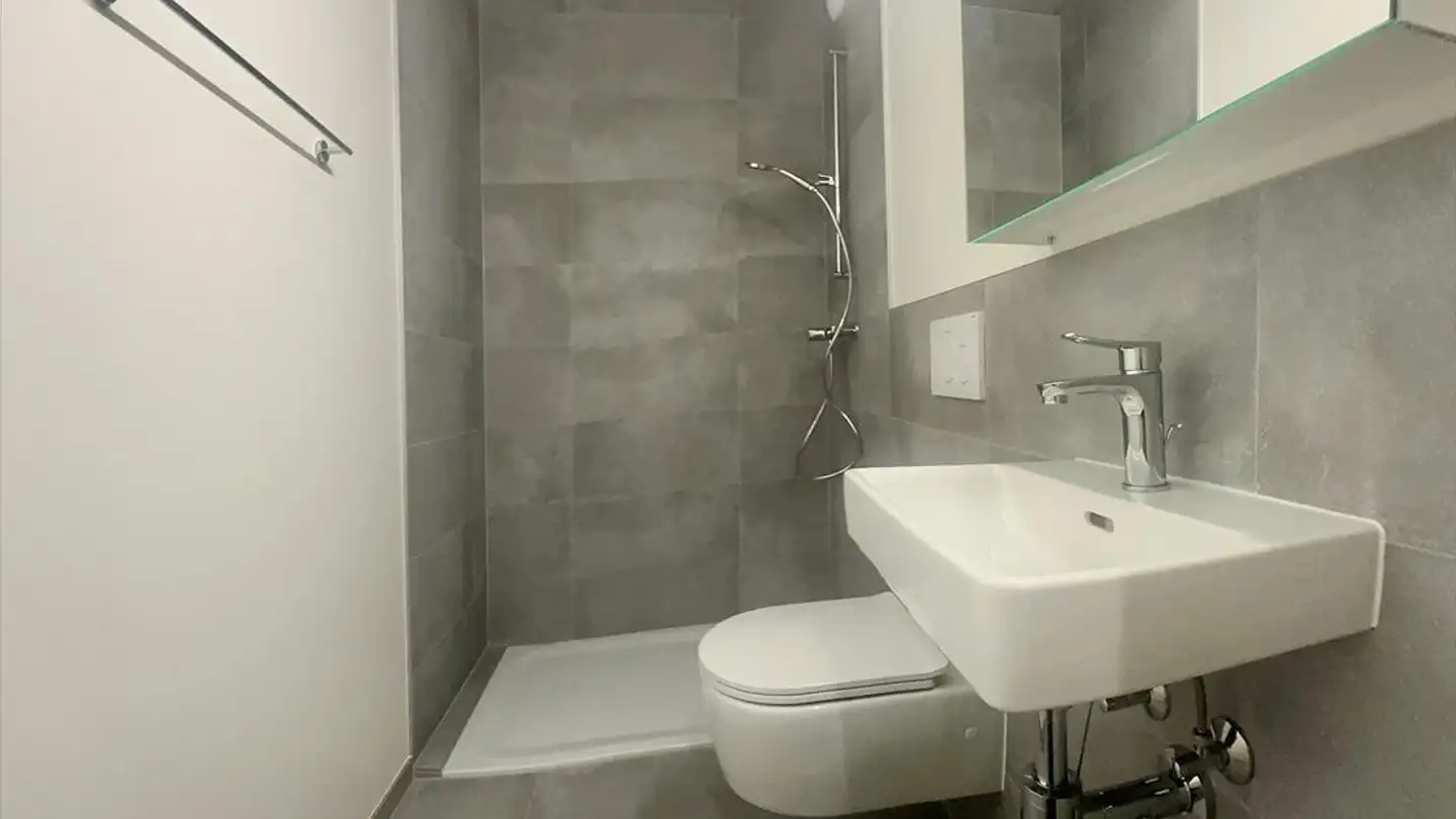 Appartamento in affitto - 1227 Carouge GE - Foto 4