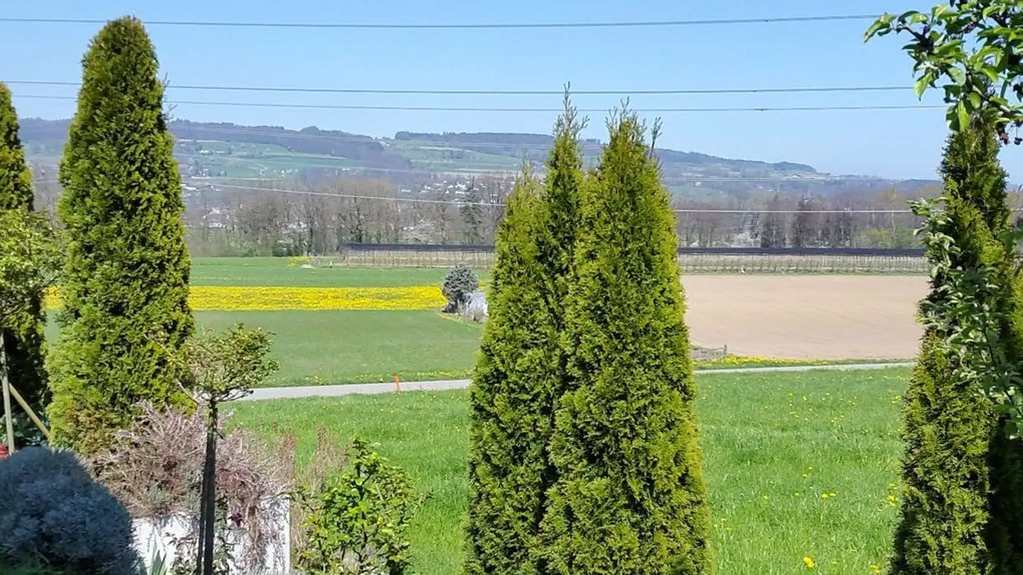 Casa singola in vendita - Vorderwies 32, 9565 Rothenhausen - Photo 2