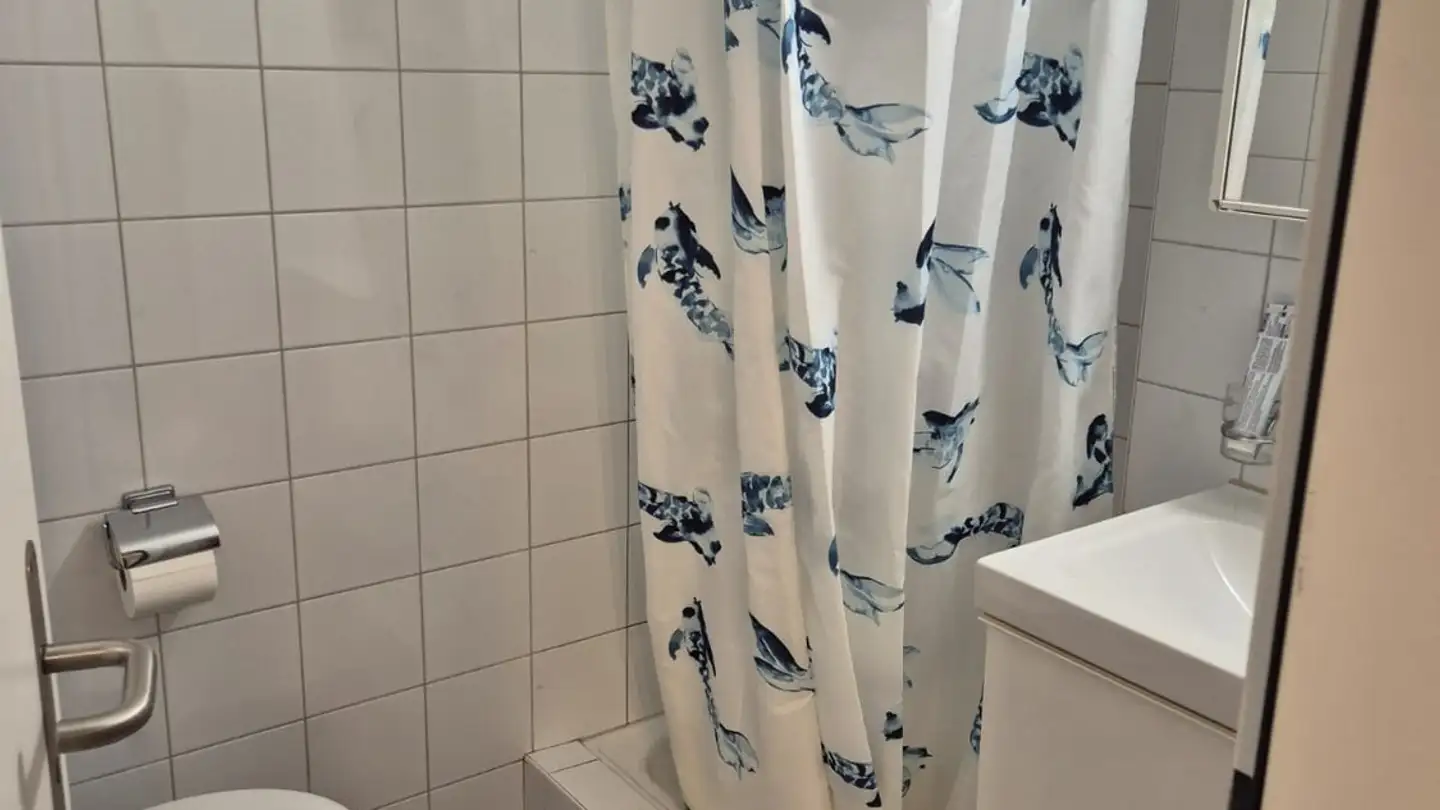 Furnished apartment for rent - Hohstrasse 4, 8302 Kloten - Photo 3