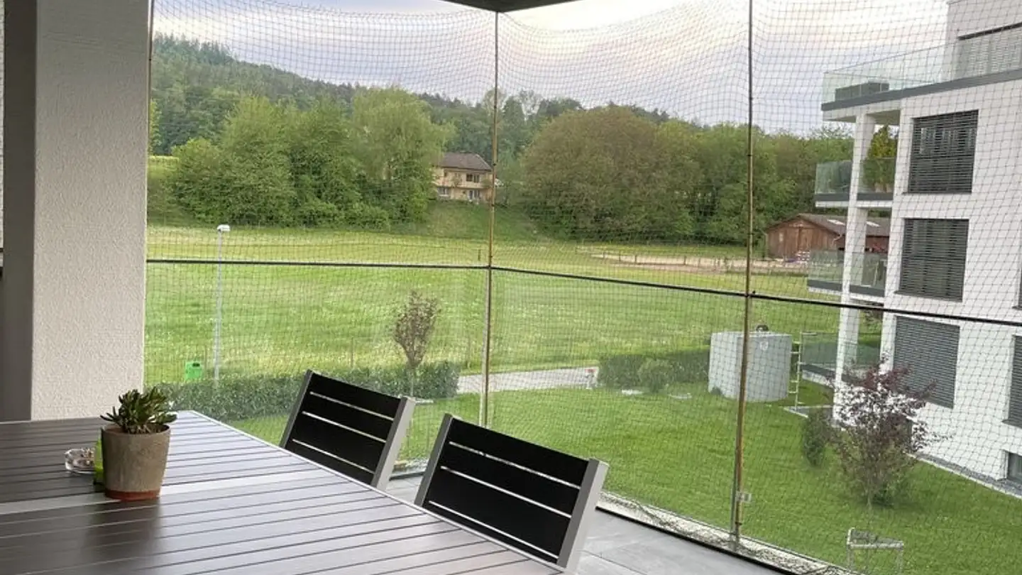 Appartamento in affitto - Seerenstrasse 20, 8187 Weiach