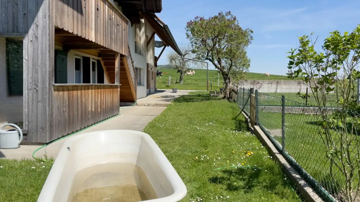 Fattoria in vendita - Käsereiweg 8, 3035 Frieswil - Foto 3