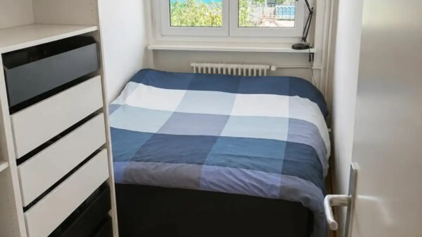 Appartamento in affitto - Rue Peillonnex, 1225 Chêne-Bourg - Foto 3