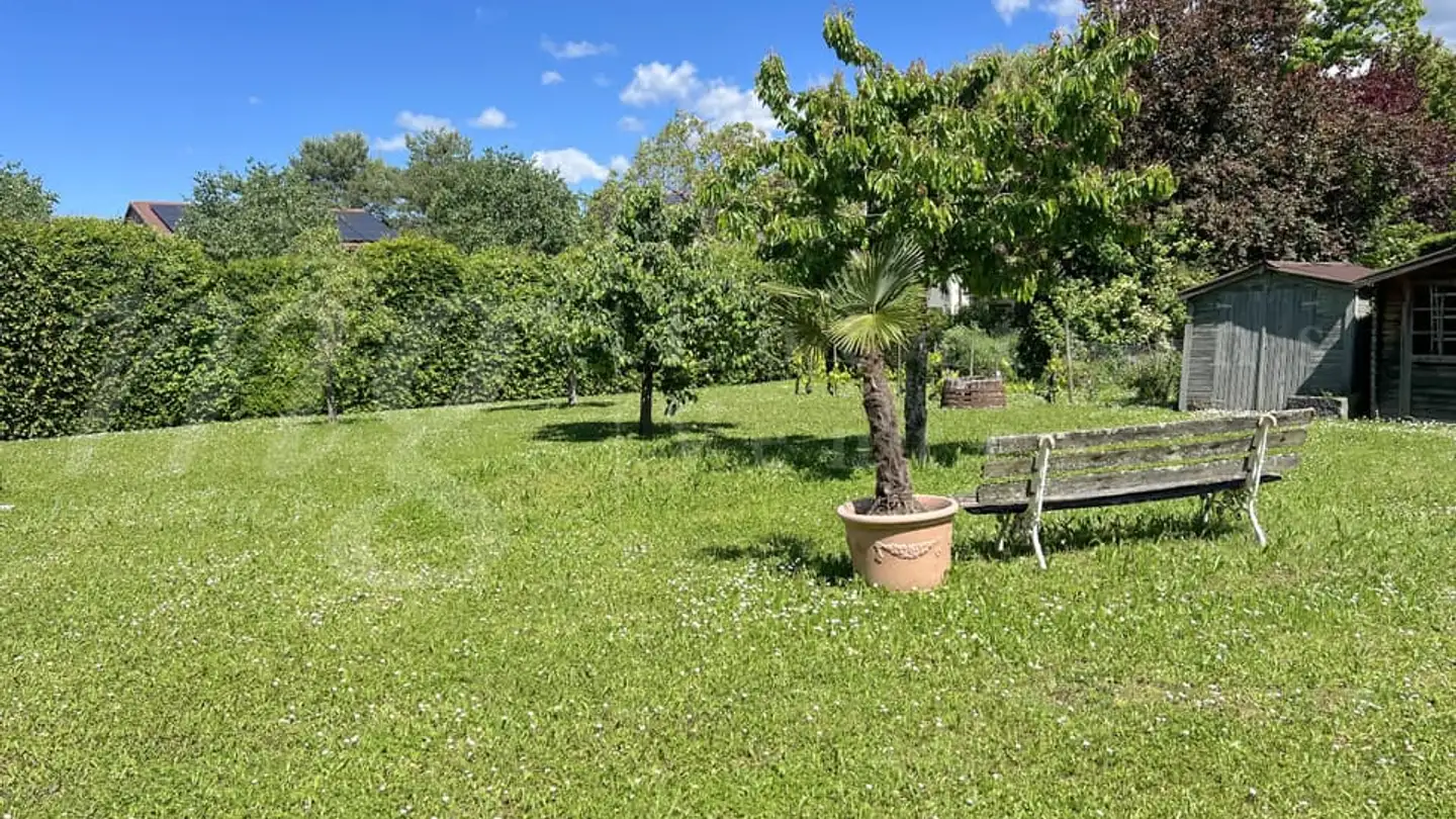 Einfamilienhaus mieten - 1252 Meinier - Foto 2
