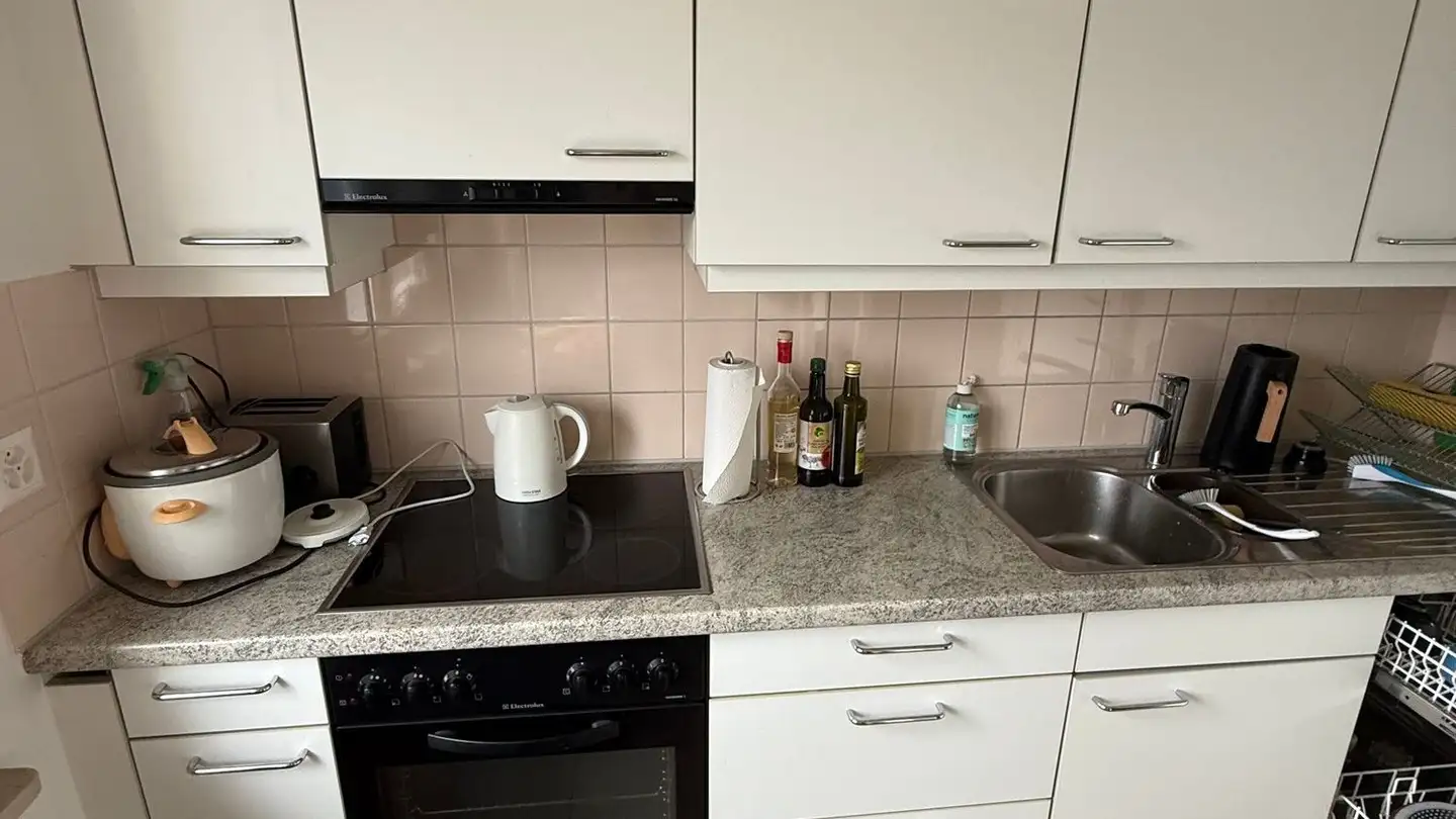 Appartement à louer - Unterer Kanalweg 45, 2560 Nidau - Photo 3