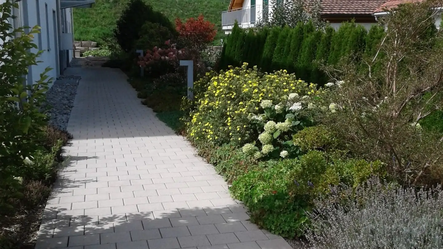 Appartement à louer - 8165 Schleinikon - Photo 3