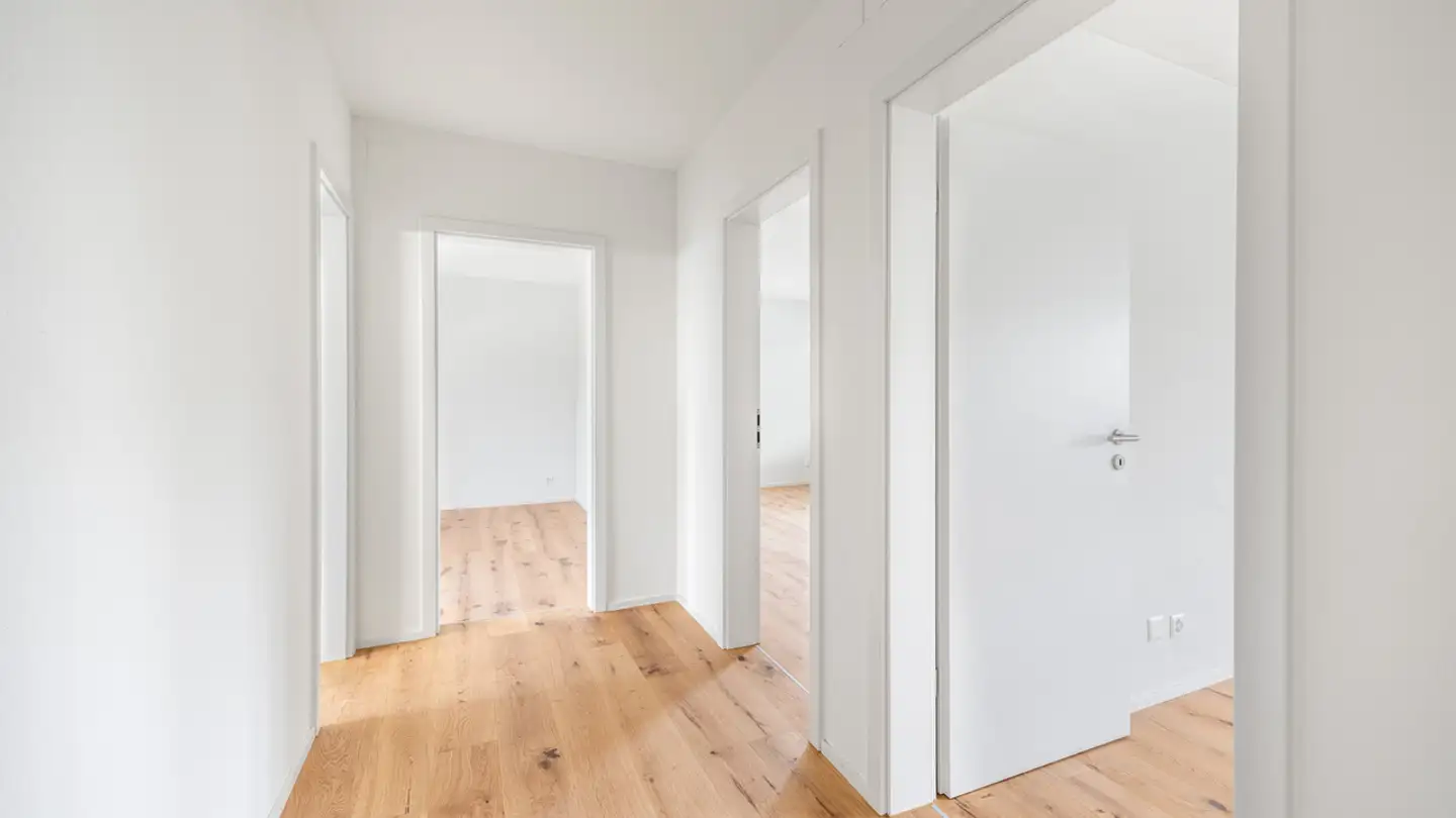 Appartement à louer - Schaffhauserstrasse, 8052 Zürich - Photo 2