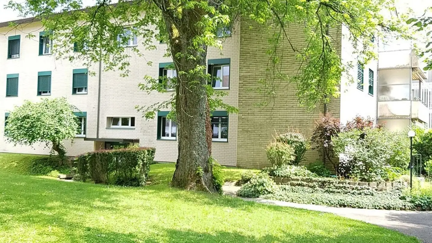Appartement à louer - Buchzelgstrasse 60, 8053 Zürich - Photo 3