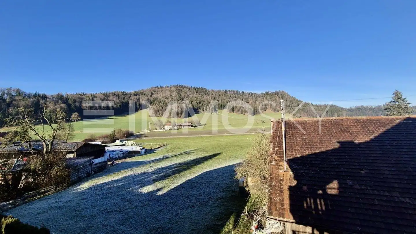 Apartment for sale - 8488 Turbenthal - Photo 2