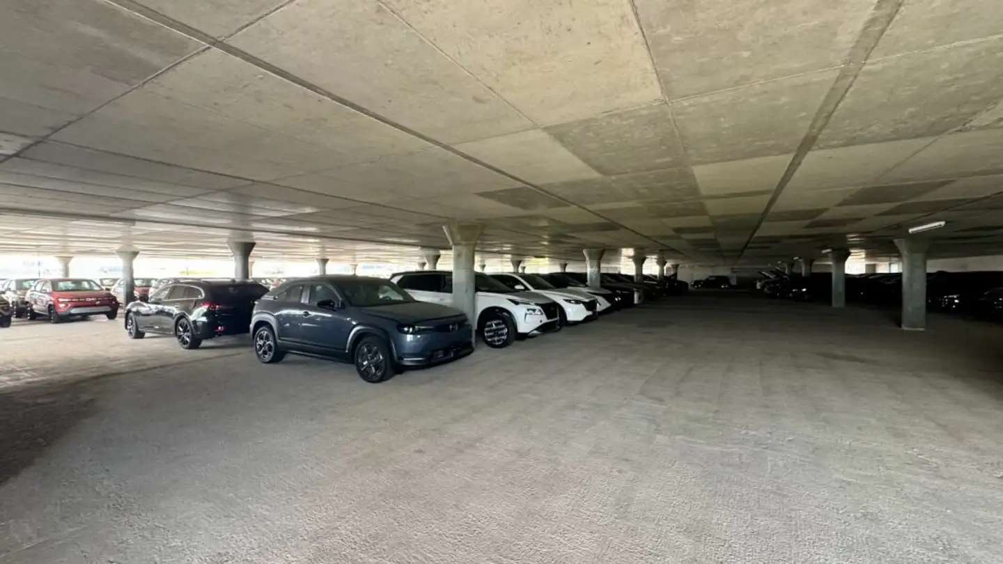 Commercial for rent - 8156 Oberhasli - Photo 4