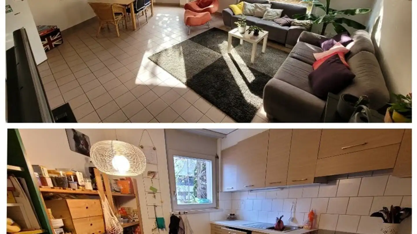 Single room for rent - 1700 Fribourg - Photo 2