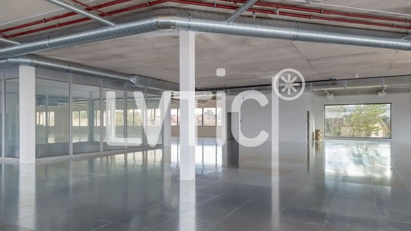 Commerciale in affitto - Etoy, 1163 Etoy - Photo 3