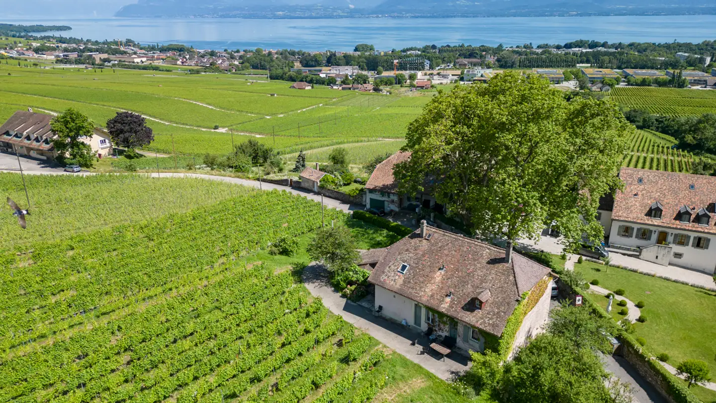 Casa singola in vendita - 1180 Tartegnin - Photo 2