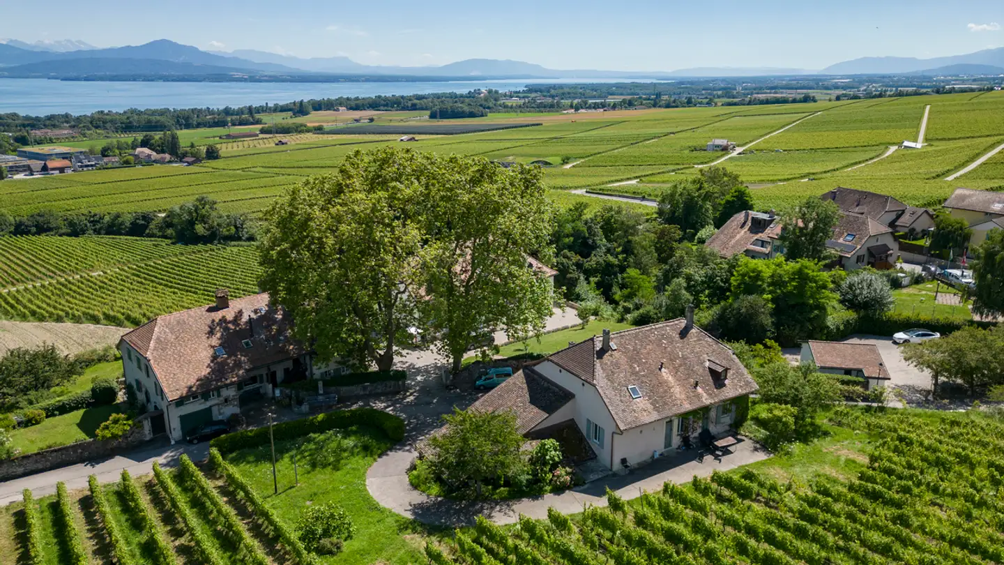 Casa singola in vendita - 1180 Tartegnin - Photo 3