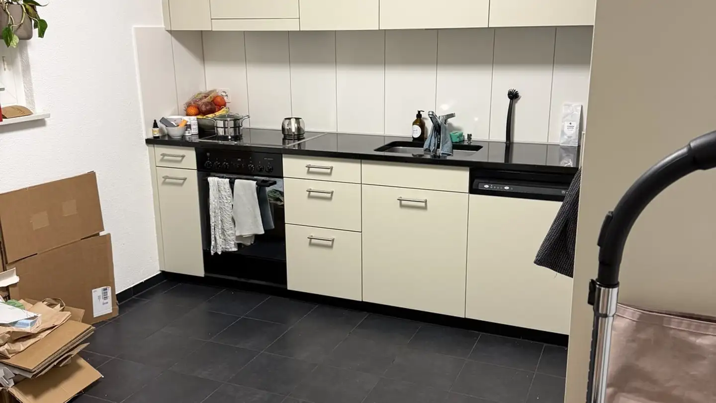 Furnished apartment for rent - 8055 Zürich - Photo 2