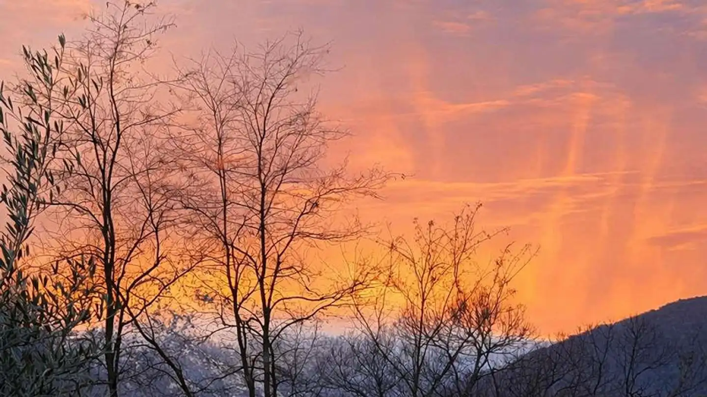 Apartment for sale - 6965 Cadro - Photo 3