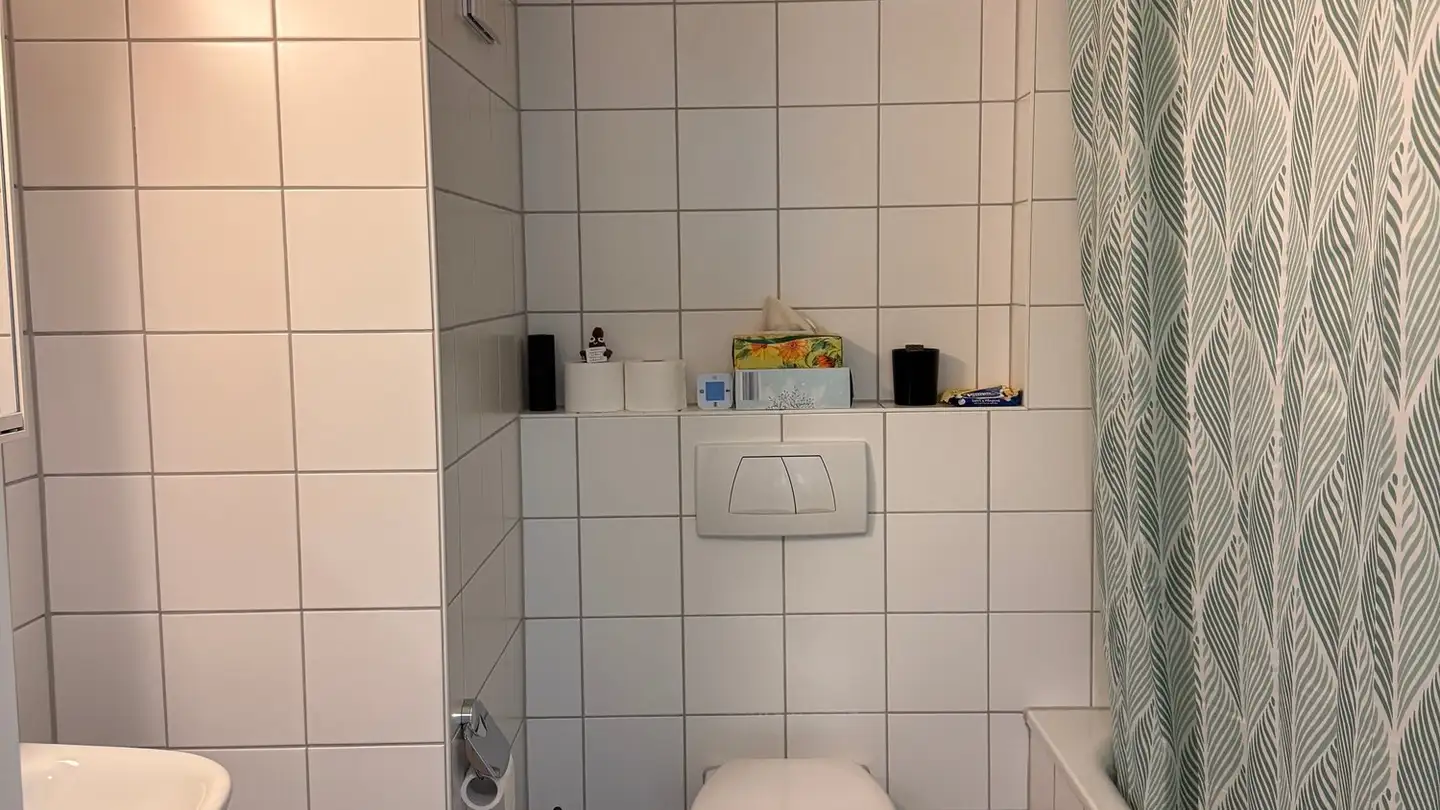 Furnished apartment for rent - 8047 Zürich - Photo 4