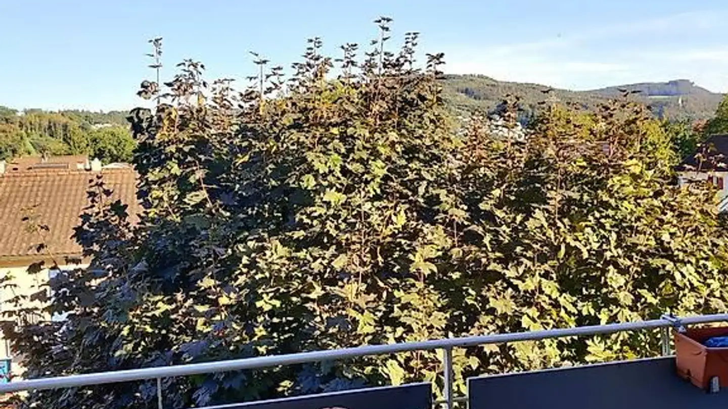 Attique à louer - Emil Frey-Strasse 175, 4142 Münchenstein - Photo 2