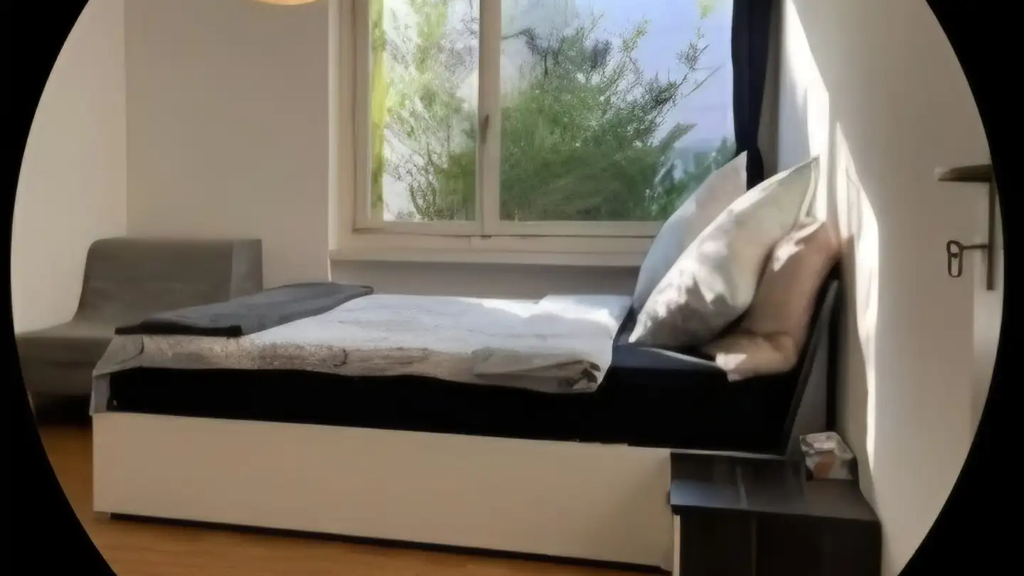 Chambre à louer - 8051 Zürich