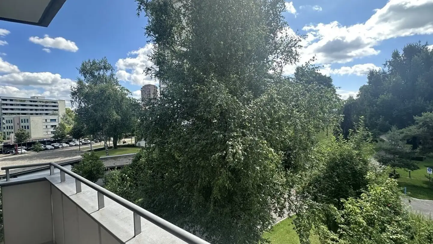 Appartamento in affitto - Letzigraben 11, 8003 Zürich - Foto 3