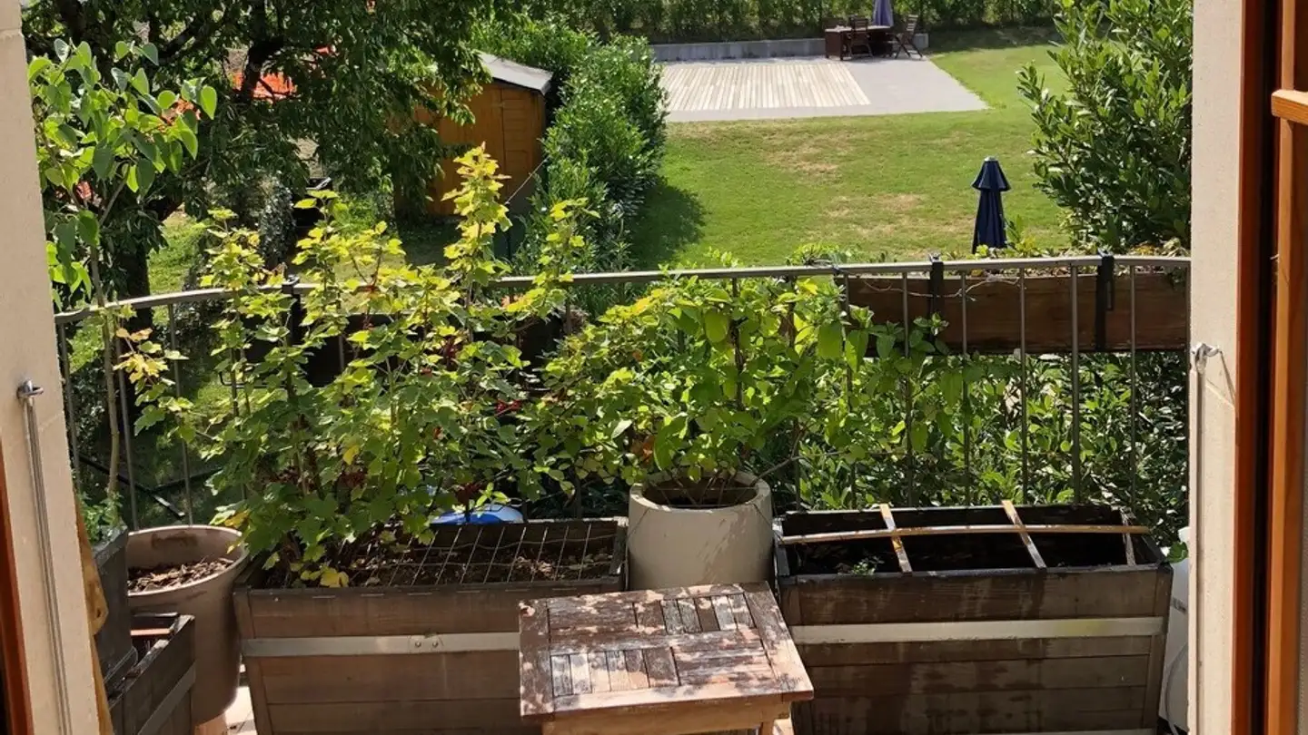 Appartement à louer - Rue De La Petite Forge, 1026 Echandens - Photo 3