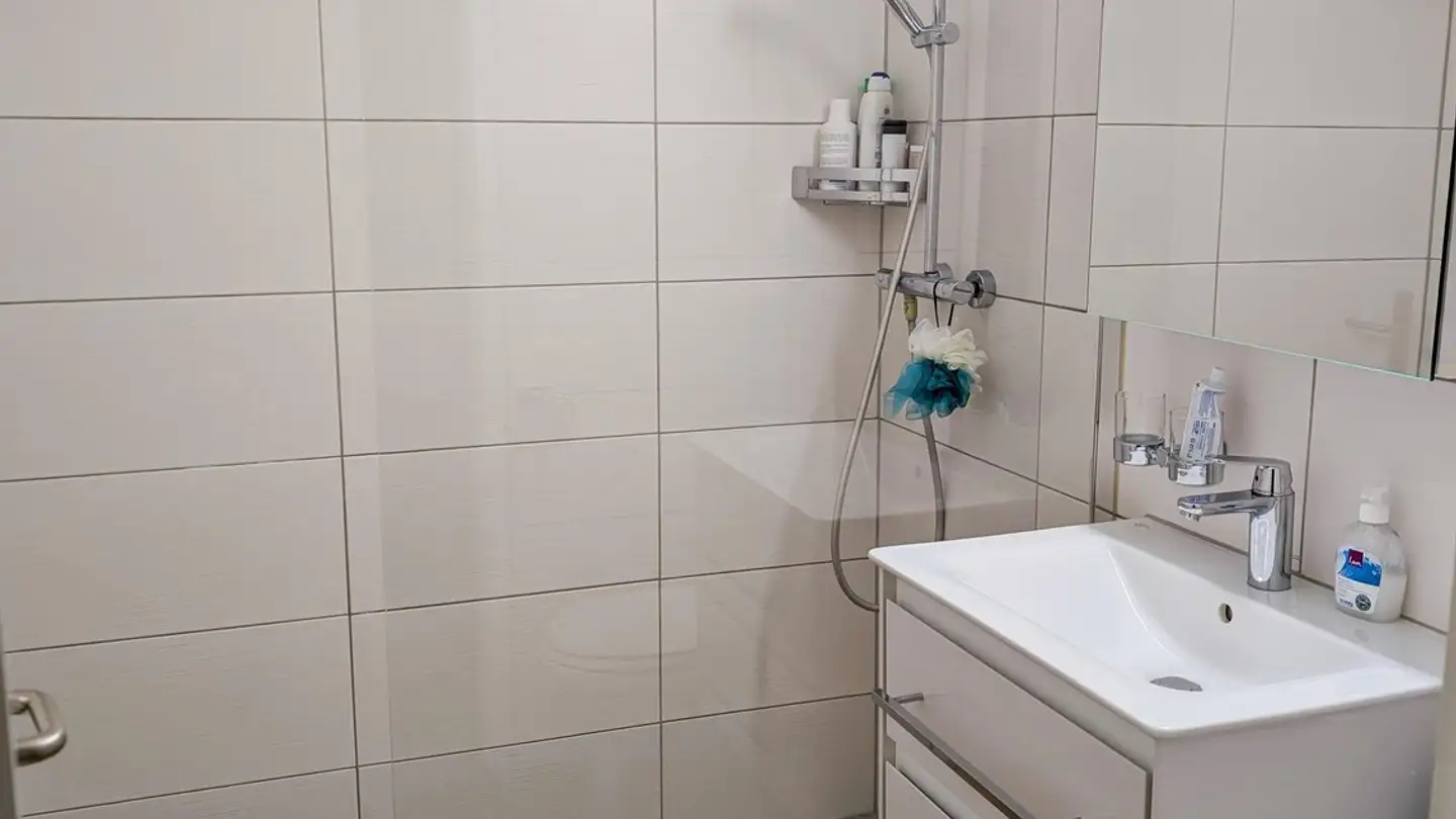 Appartamento ammobiliato in affitto - Asylstrasse 31, 8810 Horgen - Foto 4