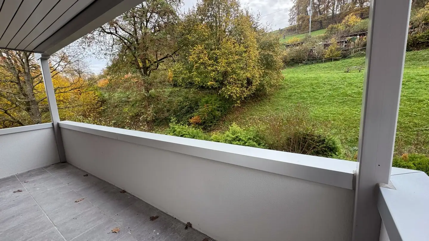 Appartamento in affitto - Sonnenhofstrasse, 8952 Schlieren - Foto 4