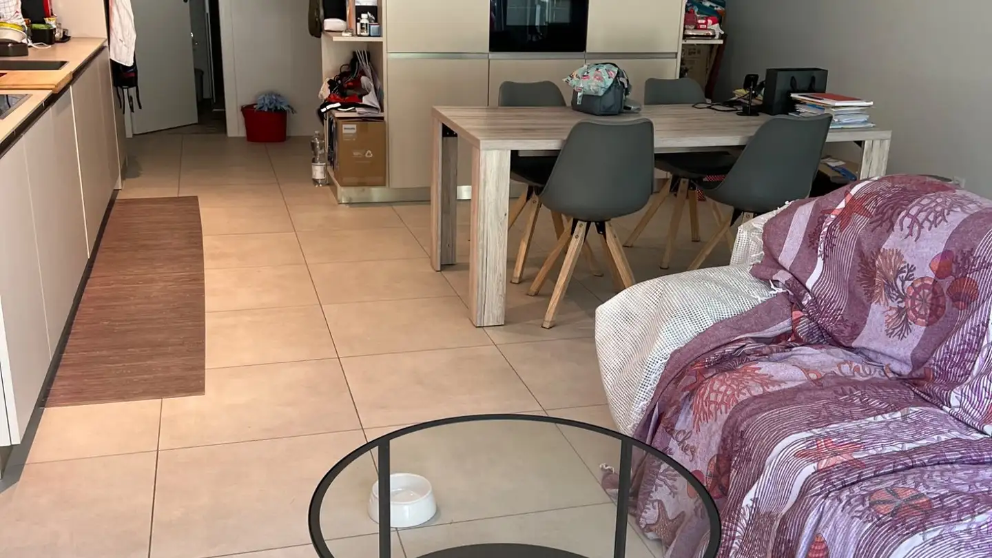 Appartamento in affitto - Via Del Battistone 1, 6533 Lumino - Photo 4