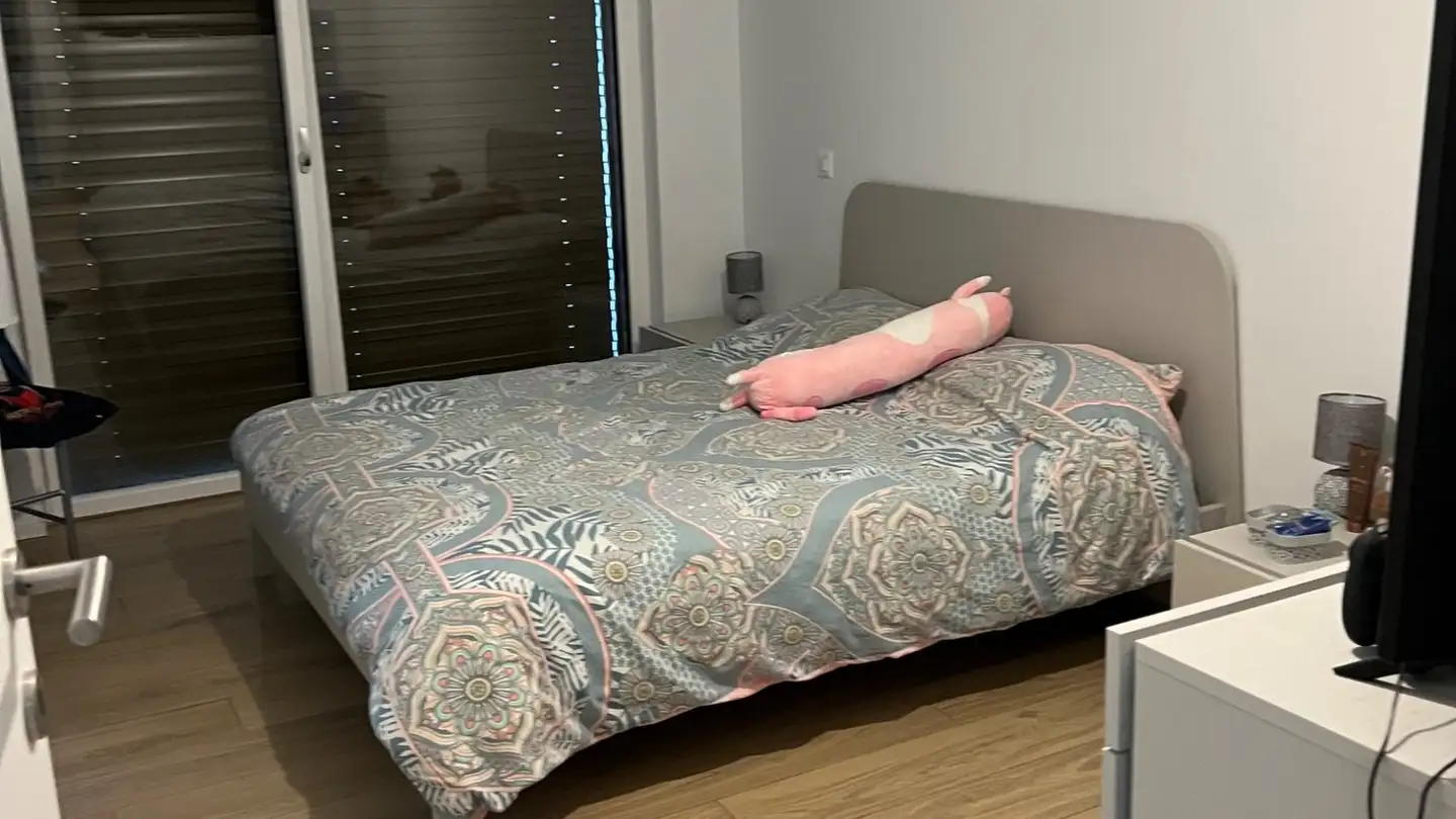 Appartamento in affitto - Via Del Battistone 1, 6533 Lumino - Photo 2