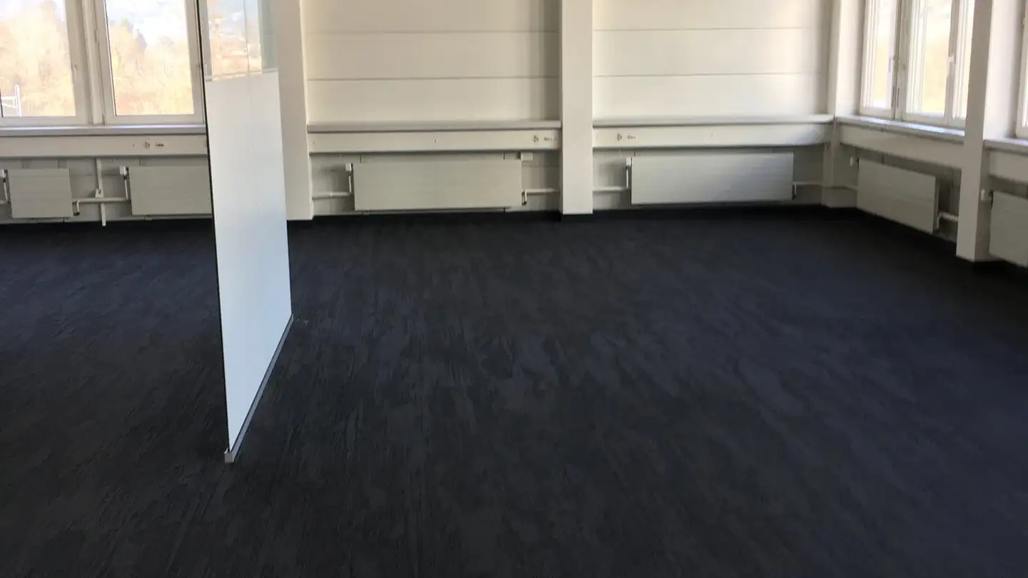 Proprietà industriale in affitto - 5116 Schinznach Bad - Photo 4