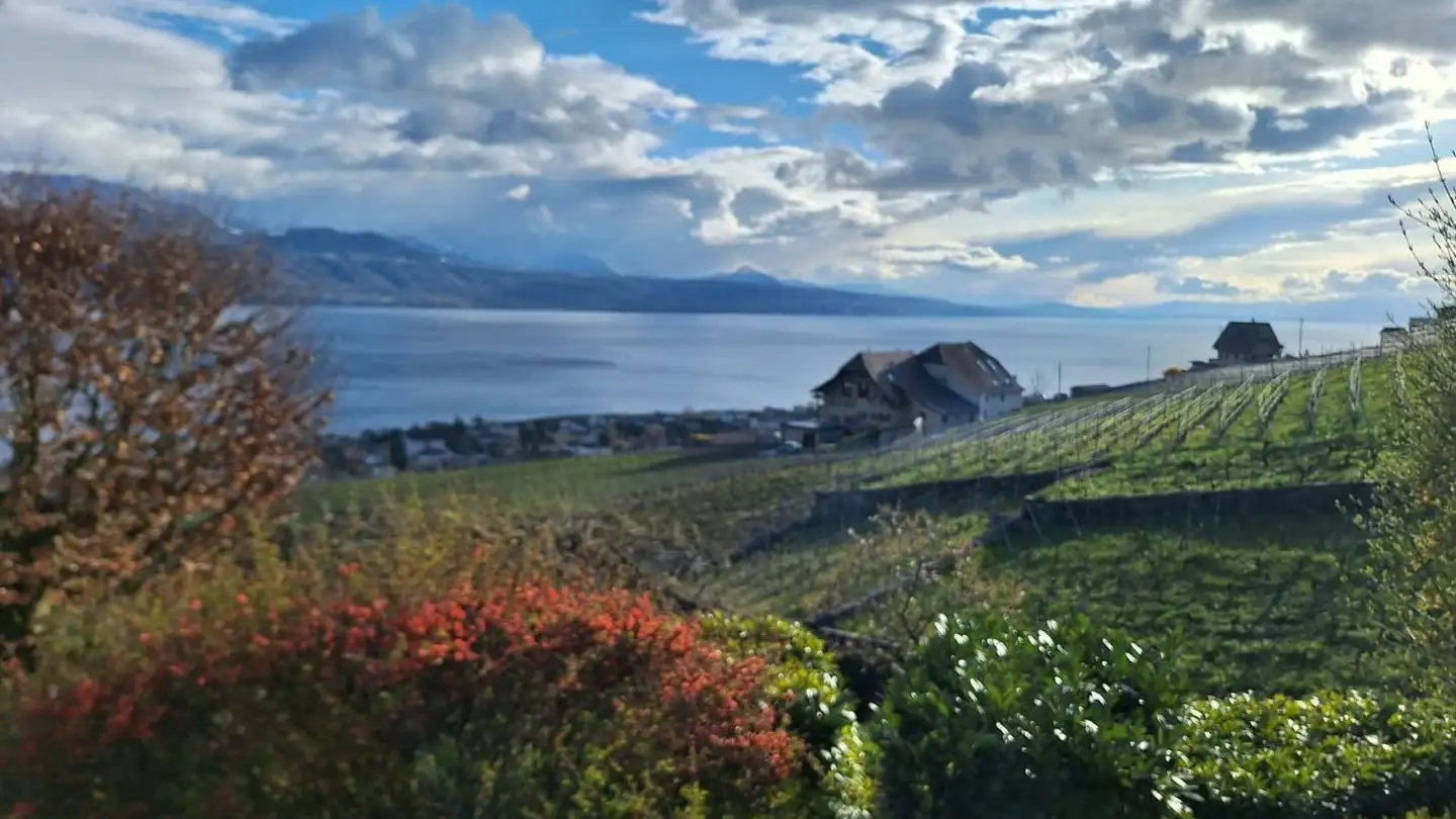 Apartment for rent - Route De Chenaux 20, 1091 Chenaux