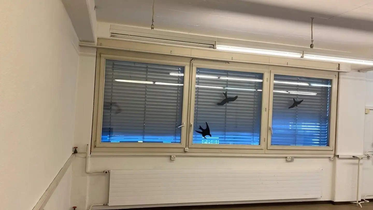 Commerciale in affitto - Florastrasse 10, 8610 Uster - Foto 3