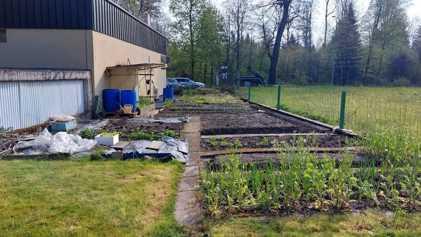 Jardin familial à louer - Langenthalstrasse 92, 4912 Aarwangen - Photo 3