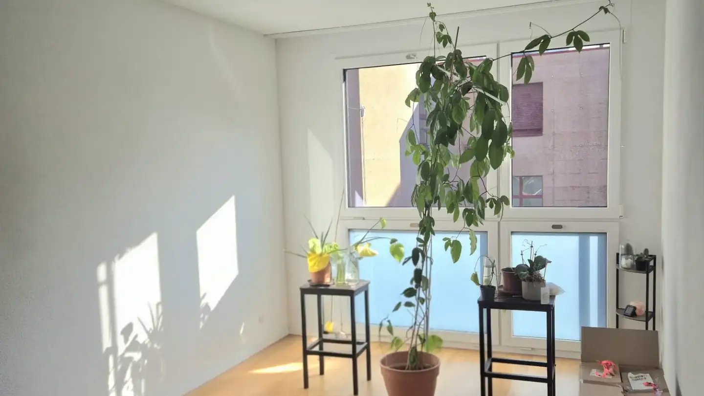 Appartamento in affitto - Thomas-Bornhauser-Strasse 3, 8570 Weinfelden - Foto 4