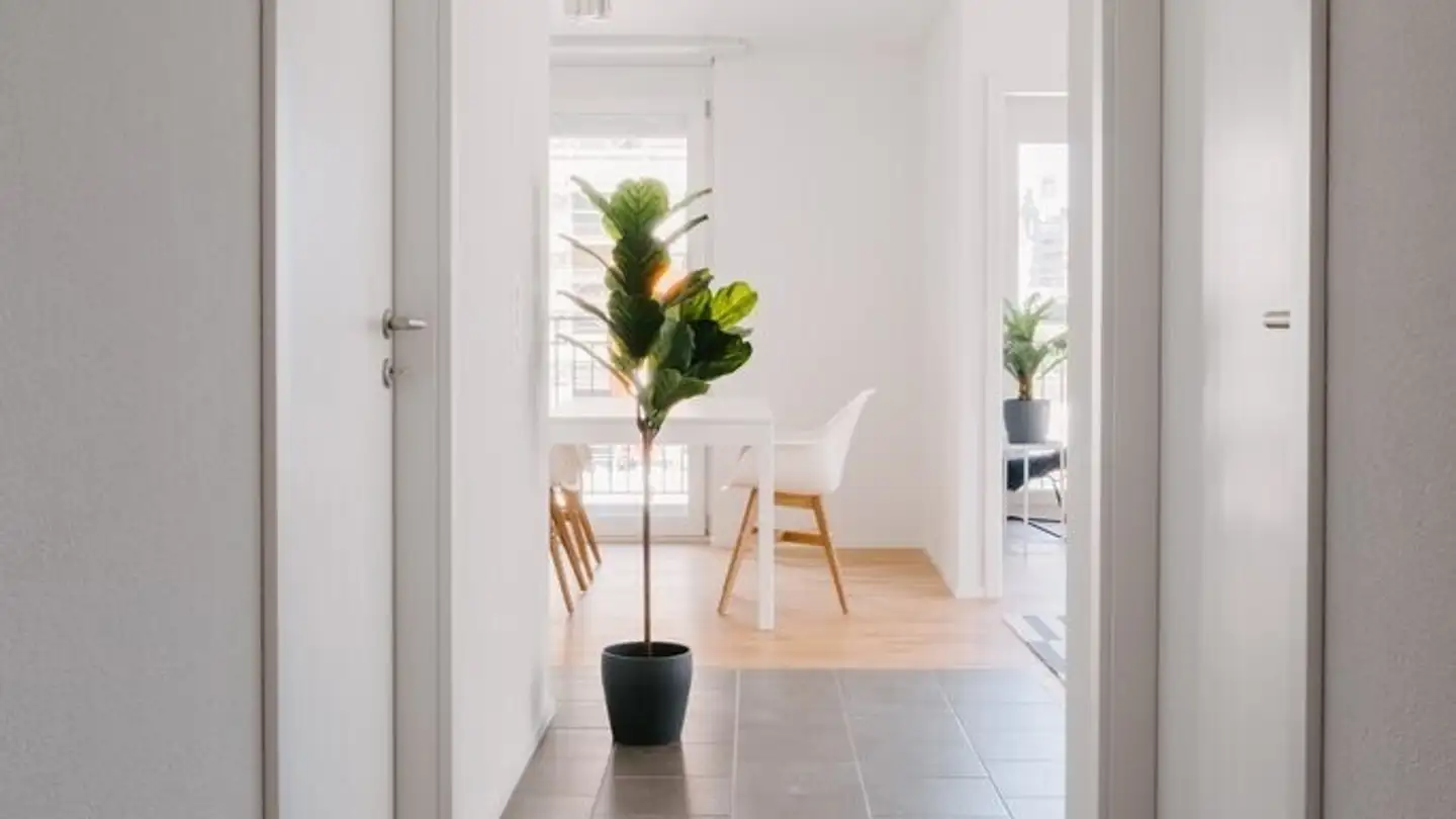 Appartement à louer - Route Des Arsenaux, 1700 Fribourg - Photo 2
