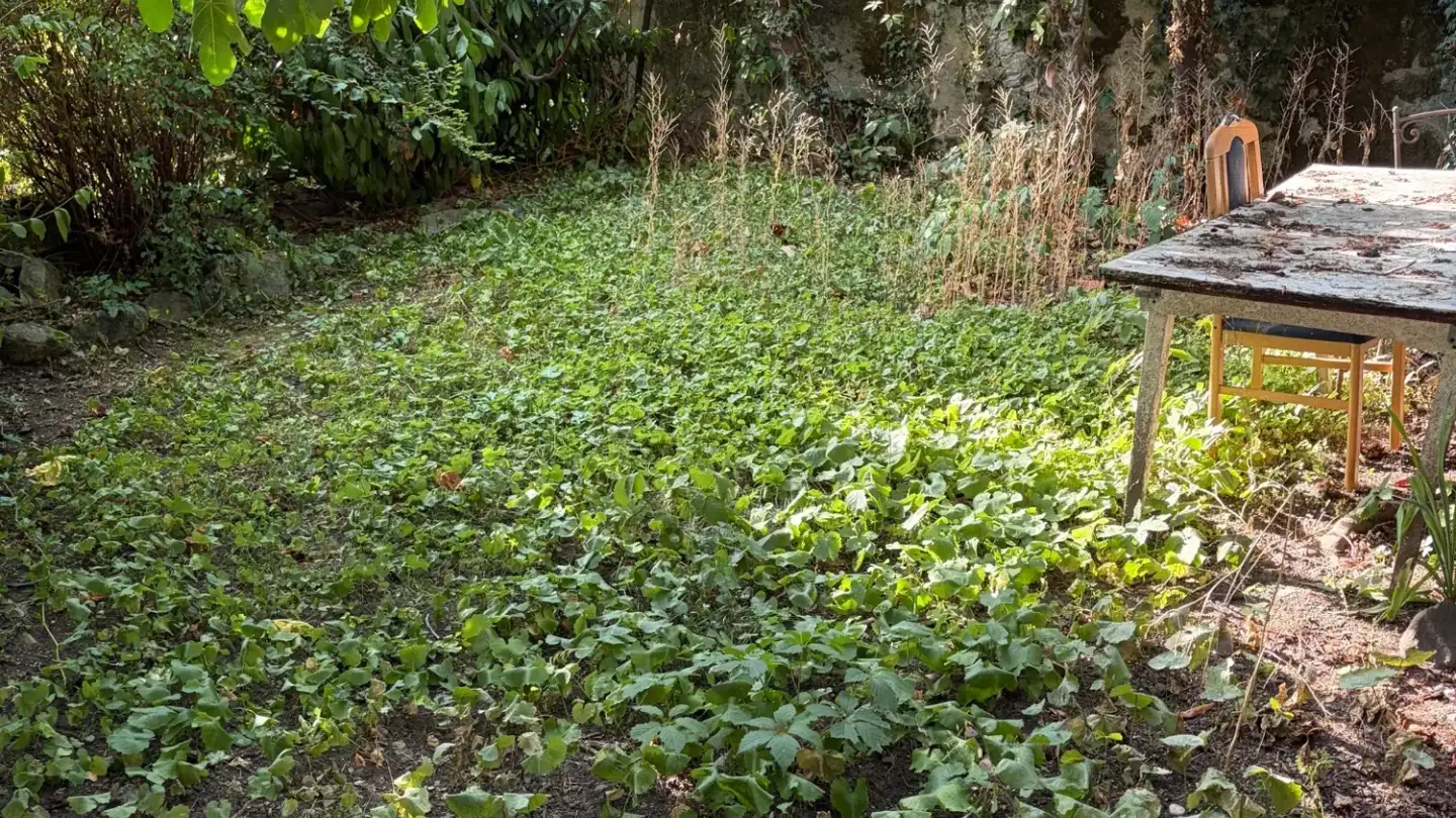 Appartement à louer - 1820 Territet - Photo 4