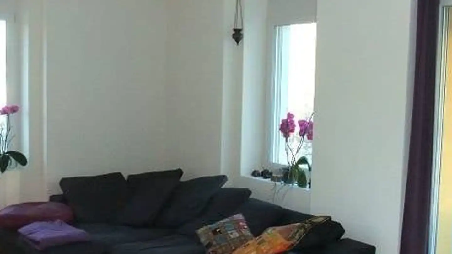 Appartamento in affitto - Eduard-Steiner-Strasse 11, 8400 Winterthur - Foto 3