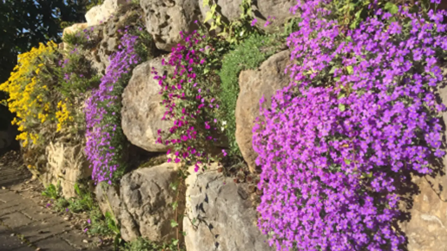 Villa in vendita - Route De Le Muids, 1273 Arzier-Le Muids