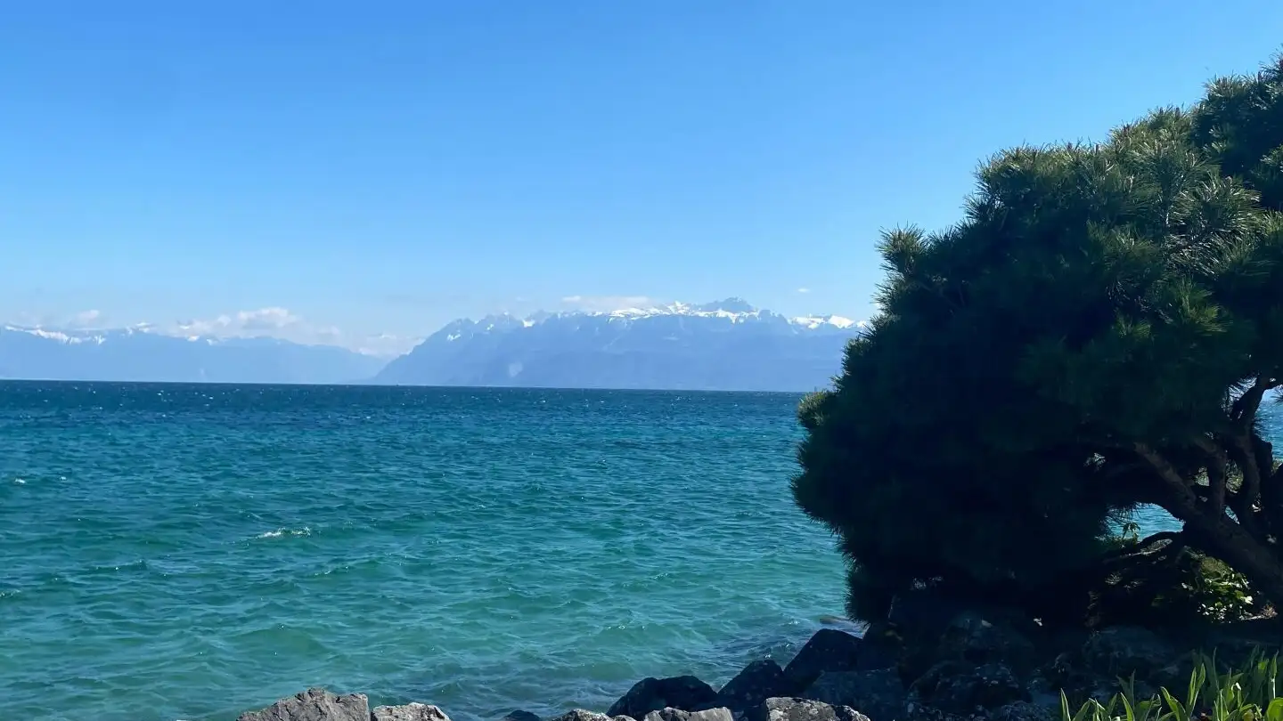 Villa for sale - Avenue De Croix-De-Rive, 1028 Préverenges - Photo 4