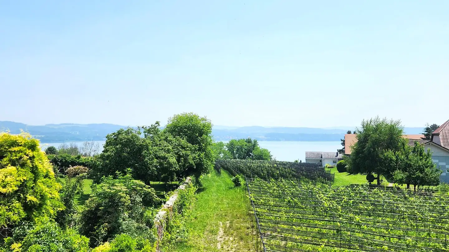 Appartamento in vendita - 1787 Mur (Vully) FR - Foto 2