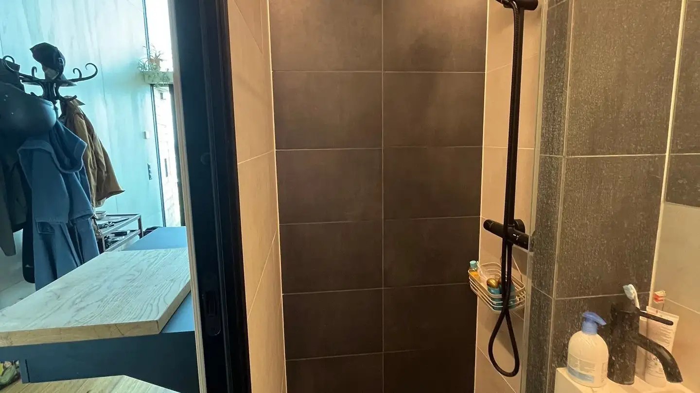 Apartment for rent - Albisstrasse 53a, 8135 Langnau am Albis - Photo 3