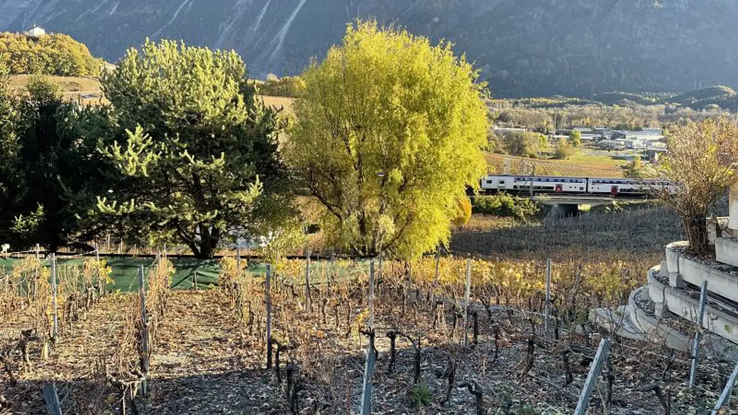 Terrain constructible à vendre - 3970 Salgesch