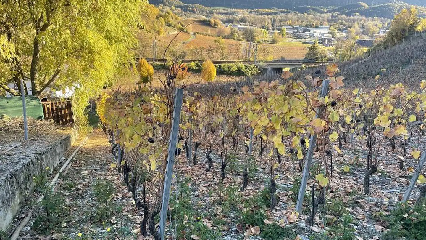 Terrain constructible à vendre - 3970 Salgesch - Photo 4