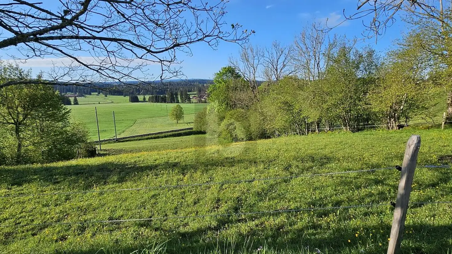 Constructible plot for sale - Sous Le Bémont, 2360 Le Bémont JU