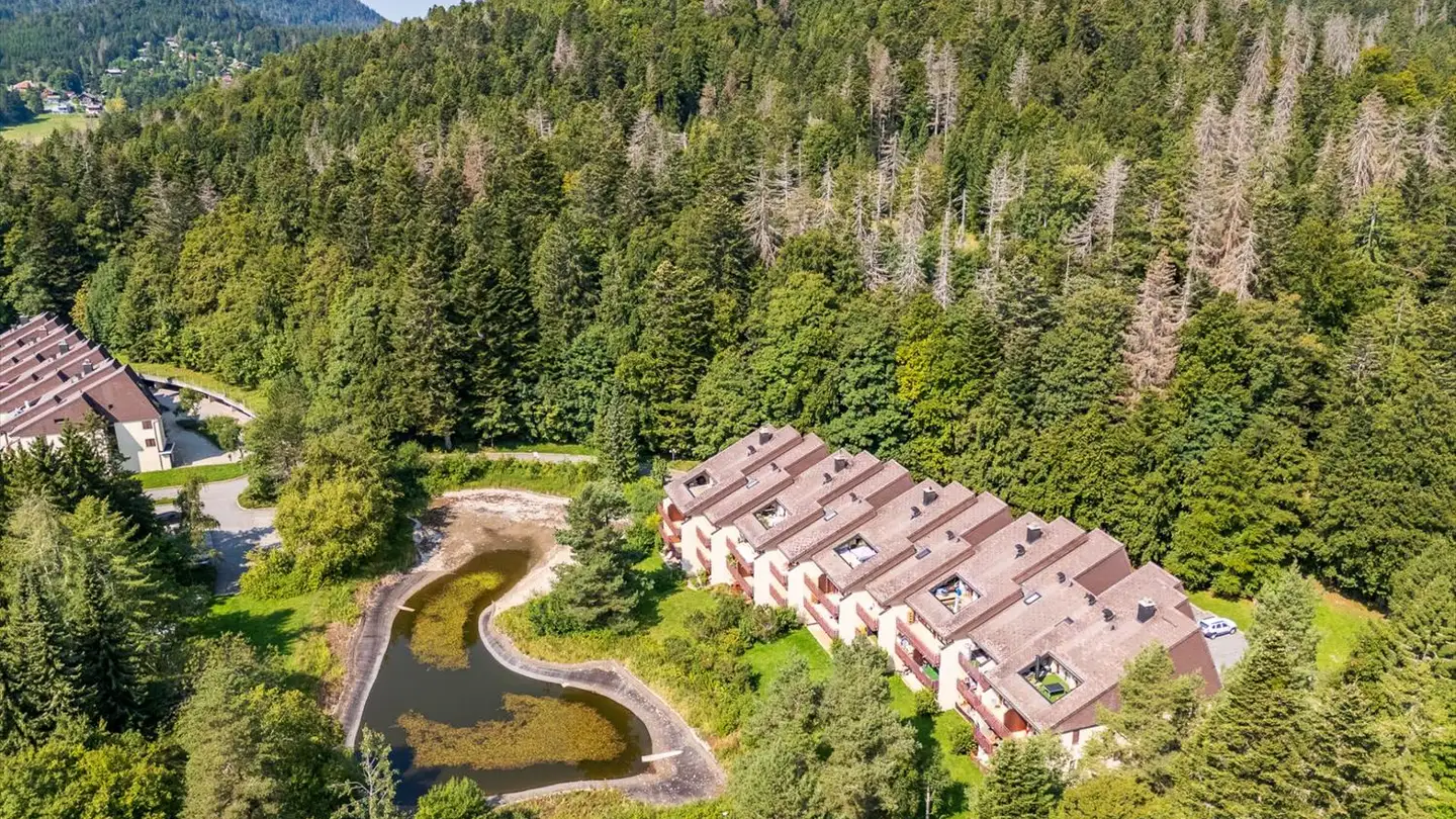 Appartamento in vendita - Route Des Cheseaux-Dessus, 1264 St-Cergue - Photo 3