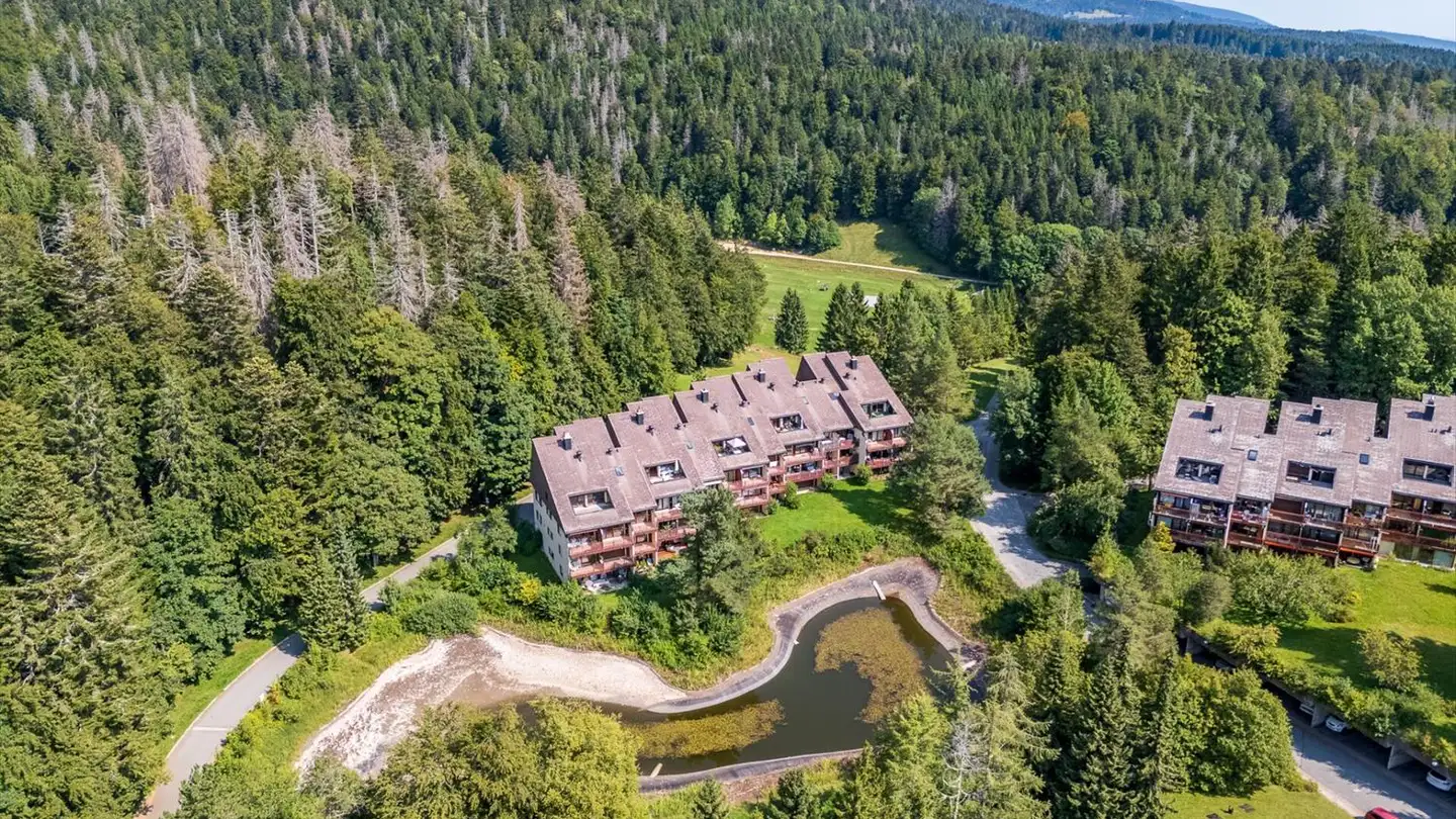 Appartamento in vendita - Route Des Cheseaux-Dessus, 1264 St-Cergue - Photo 4